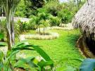Landscaping is easier using a certified contractor