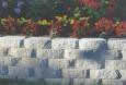 Retaining Wall Adds Beauty