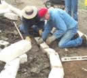 Retaining walls can be easy to install.
