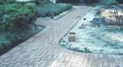 Finishing the Walkway Paver Landscaping