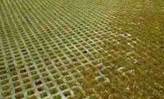 grass with pavers
