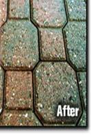 After Cleaning Pavers