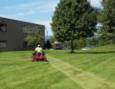 Landscape Mowing