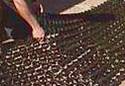 Laying the grass / turf paver plastic grid