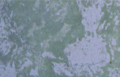 Stained Concrete