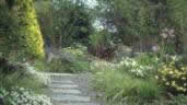 Landscape Design