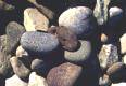 Landscape Stone