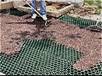 Covering the grass plastic grid with coarse cement sand