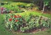 Vegetable Patches is another landscaping idea