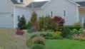 Softscapes and Hardscapes