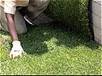 Laying sod so that you eliminate lines