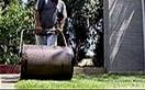 Rolling the sod