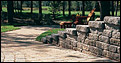 Pavers and Retaining Walls