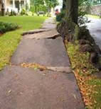 Cracked poured concrete sidewalk