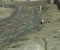 Installing Garden Pavers