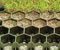 Turf Paver Grid System