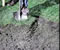 Excavation to Prepare for Paver Installation