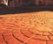 paving stones