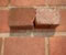 Swimming Pool Pavers