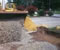 Gravel Base