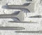 Paver Hand Tools