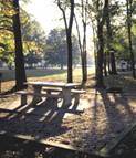 Arkansas State Park