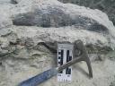 Colorado Quarry