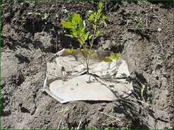 Erosion Control