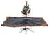 Erosion Control Mats