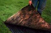 Grass Mats