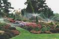Irrigated Landscape