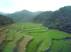Terraced Irrigation