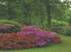 Healthy Landscapes