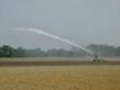Irrigation System