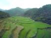 Terraced Irrigation