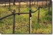 Drip Irrigation