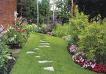 Landscaped Backyard