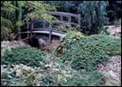 Landscape in Need of TLC