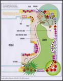 Landscape Plan