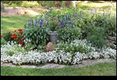 Landscaped Garden