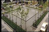 Landscape Design