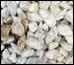 White Gravel