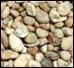 Shore Gravel