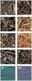Different Types of Mulch