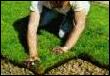 Laying The Turf