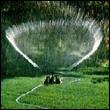 Watering The Turf