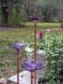 Butterfly Feeder