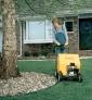 Lawn Edger