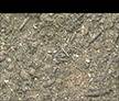 Soils