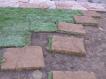 Landscape Sod